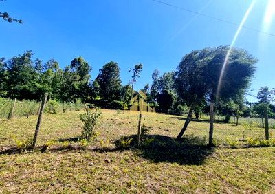 Quarter Acre Plot in Olkeri