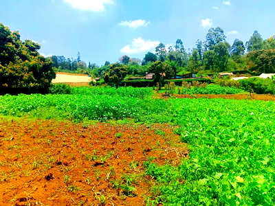 Residential Plot for Sale in Kikuyu, Ondiri! - Image 5