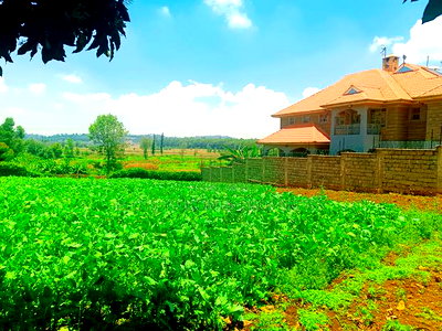 Residential Plot for Sale in Kikuyu, Ondiri! - Image 6