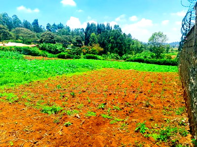 Residential Plot for Sale in Kikuyu, Ondiri! - Image 7