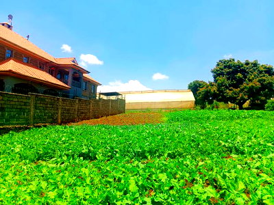 Residential Plot for Sale in Kikuyu, Ondiri! - Image 3