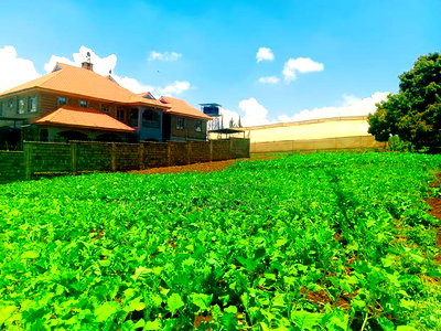 Residential Plot for Sale in Kikuyu, Ondiri! - Image 2