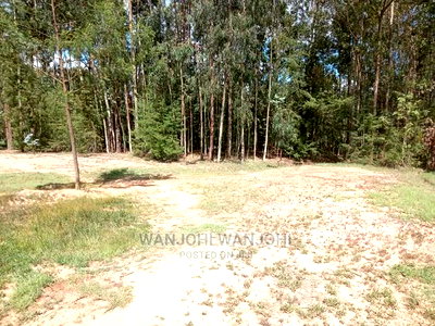 Prime Plots in Oljoroorok, Nyandarua County - Image 1