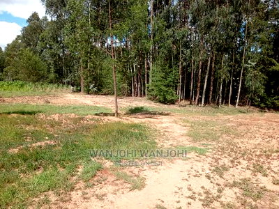 Prime Plots in Oljoroorok, Nyandarua County - Image 3
