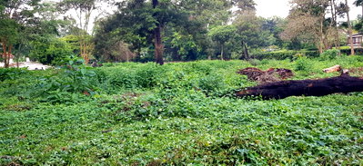 2-Acre Garden Plot with Parking at KSh 360M
