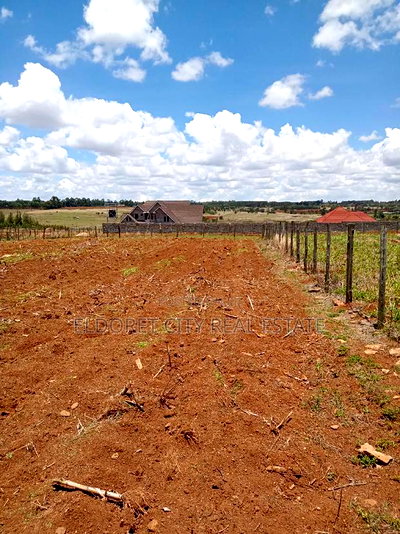 1/2 Acre Land Kipkorgot Near Menja Hotel - Image 1