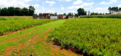 Plots for Sale in Kiplombe Opposite Proposed MTRH in Eldoret - Image 1