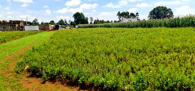 Plots for Sale in Kiplombe Opposite Proposed MTRH in Eldoret - Image 7