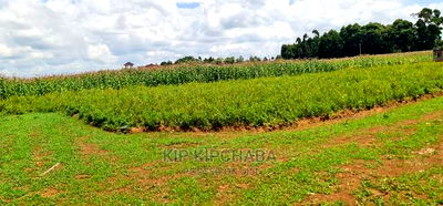 Plots for Sale in Kiplombe Opposite Proposed MTRH in Eldoret - Image 3