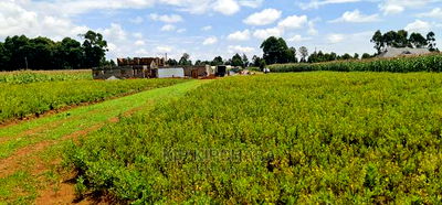 Plots for Sale in Kiplombe Opposite Proposed MTRH in Eldoret - Image 2