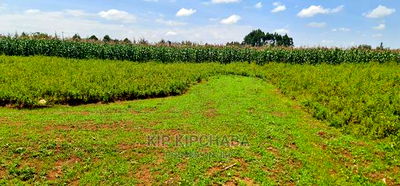 Plots for Sale in Kiplombe Opposite Proposed MTRH in Eldoret - Image 4