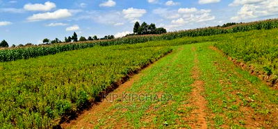 Plots for Sale in Kiplombe Opposite Proposed MTRH in Eldoret - Image 8
