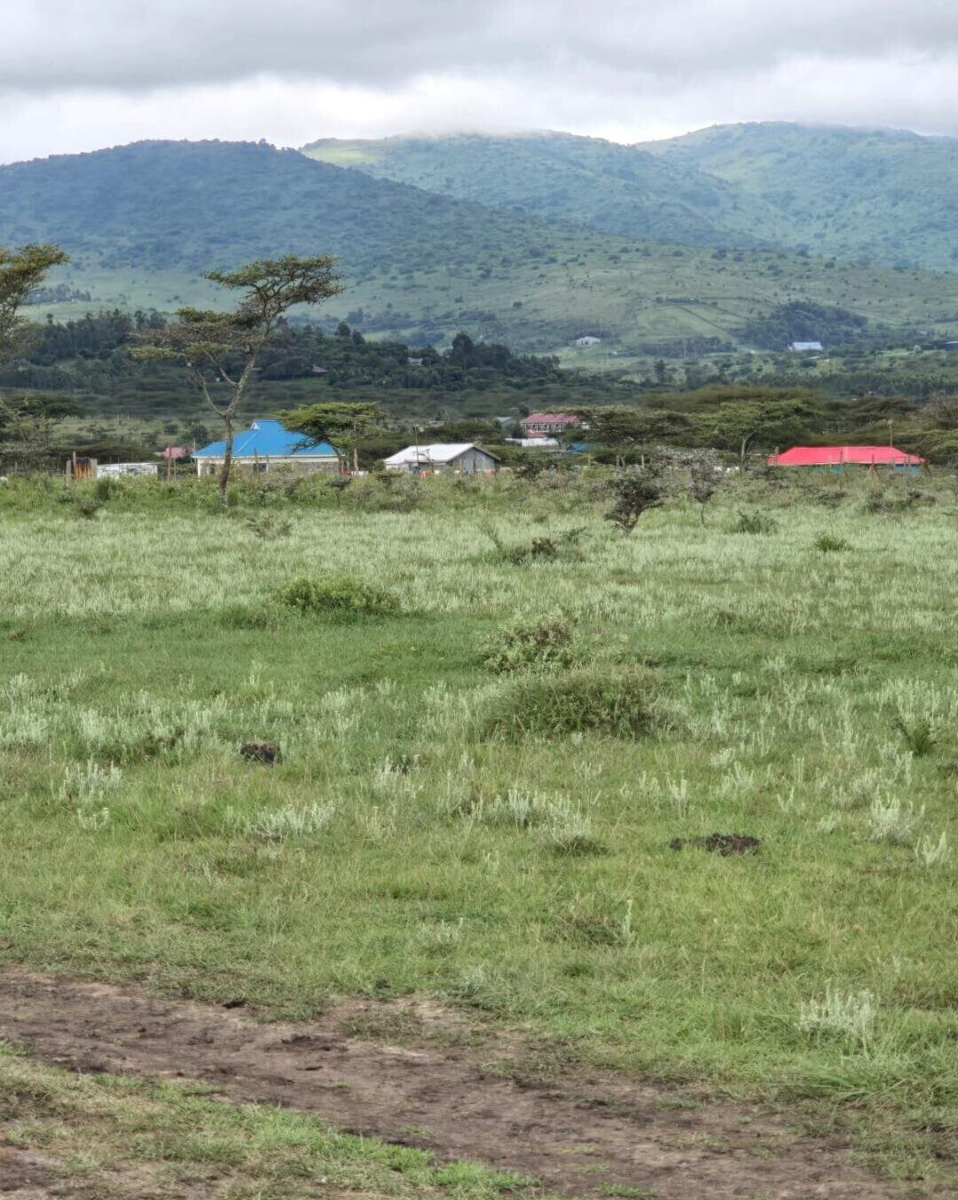 50x100 Plot Under 1.5M - Kiambu