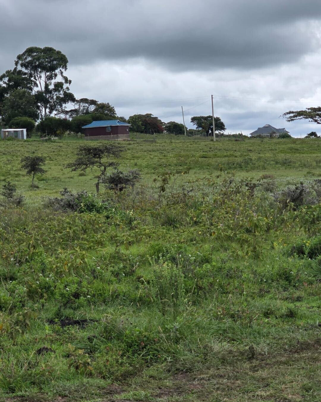 50x100 Plot Under 1.5M - Kiambu