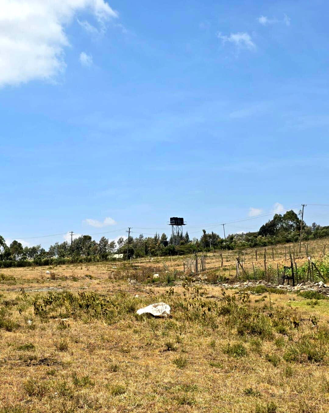 50x100 Plot Under 1.5M - Kiambu