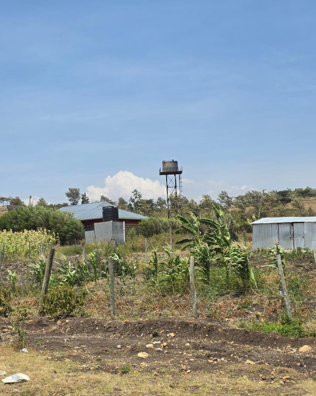 50x100 Plot Under 1.5M - Kiambu