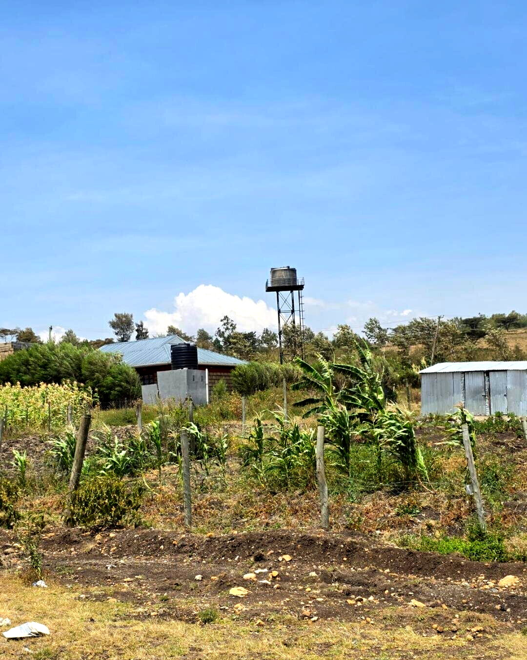 50x100 Plot Under 1.5M - Kiambu