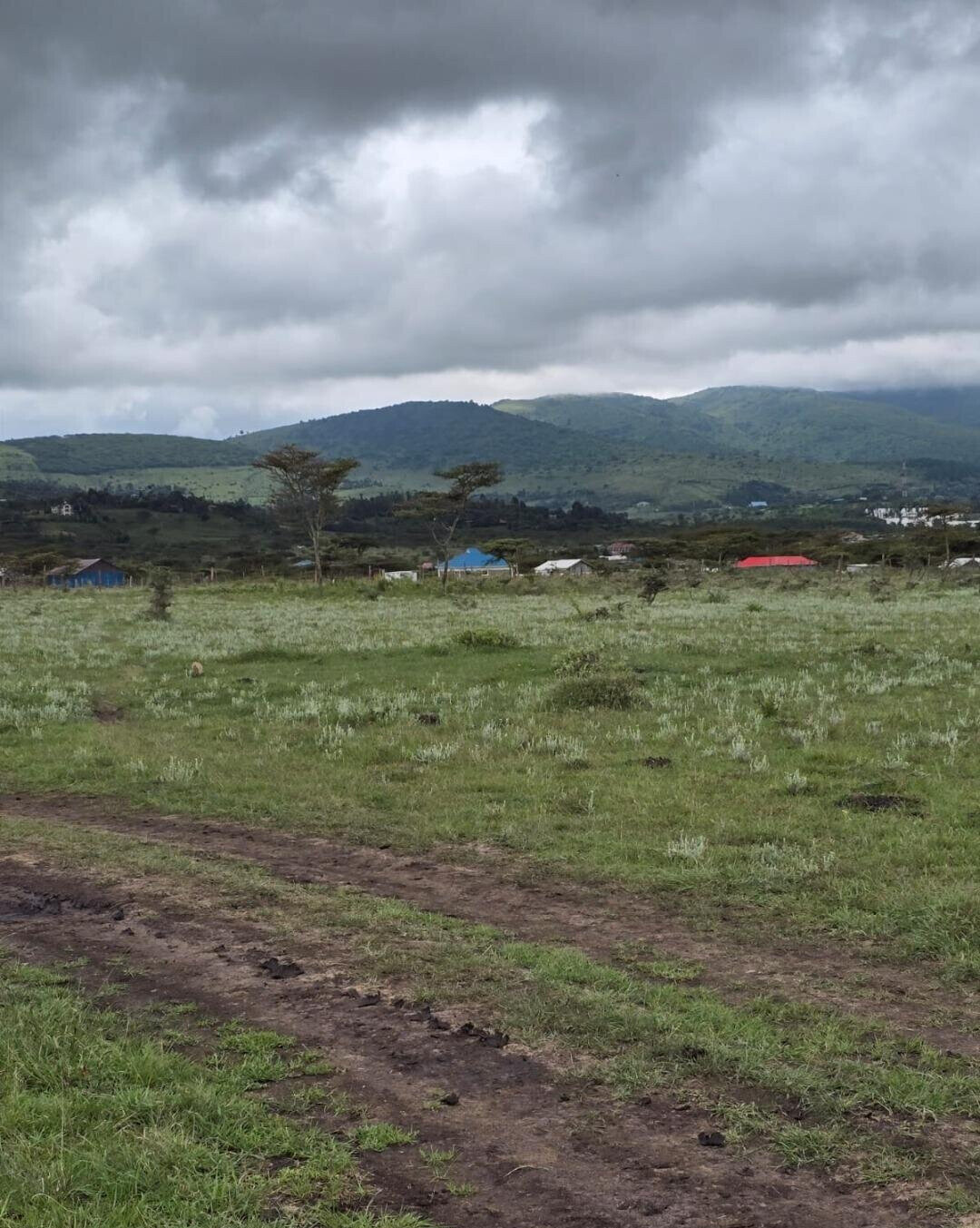 50x100 Plot Under 1.5M - Kiambu