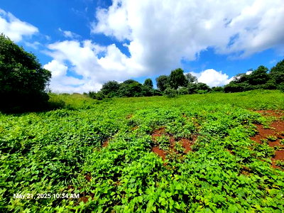 Migaa Golf 50by100ft Plot for Sale - Image 3