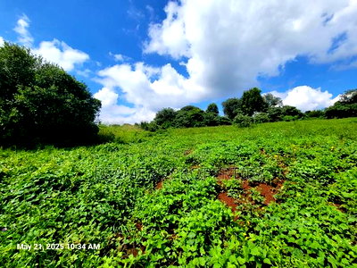 Migaa Golf 50by100ft Plot for Sale - Image 5