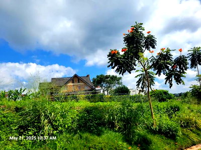 Migaa Golf 50by100ft Plot for Sale - Image 4