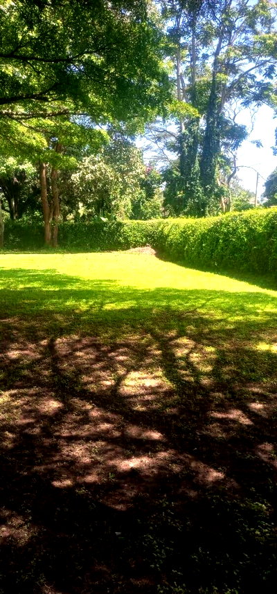 1.2 Acre Lavington Plot with Garden at KSh 200M