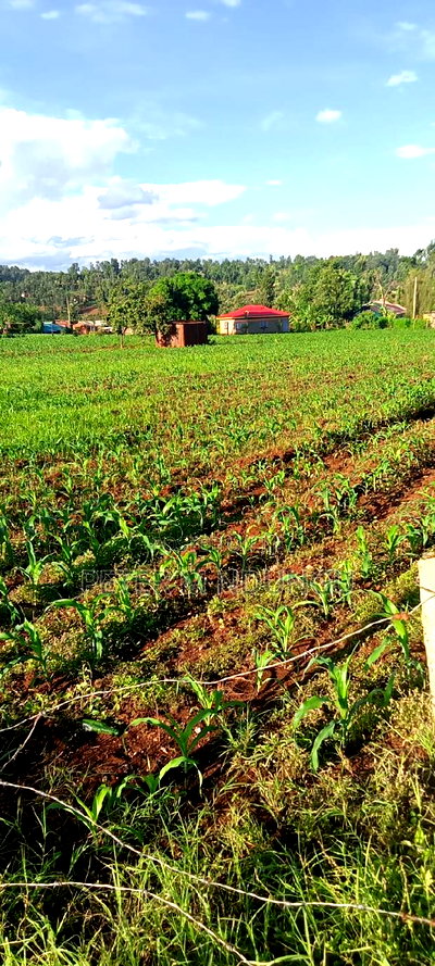 Prime 2 Acres Touching Sagana-Karatina Dual Carriage Way - Image 6