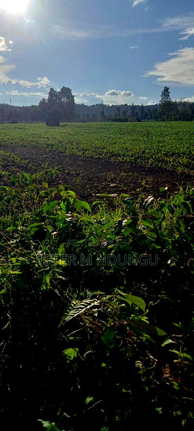 Prime 2 Acres Touching Sagana-Karatina Dual Carriage Way - Image 5