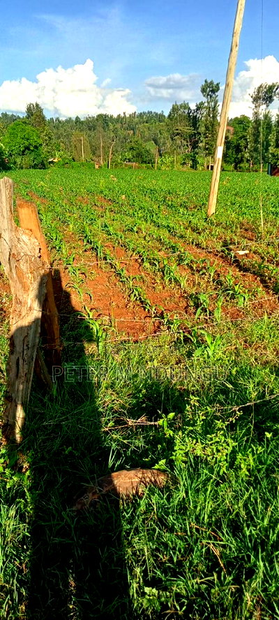 Prime 2 Acres Touching Sagana-Karatina Dual Carriage Way - Image 4