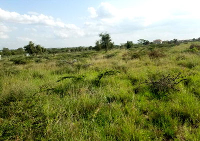 50x100 Plot Under 1.5M
