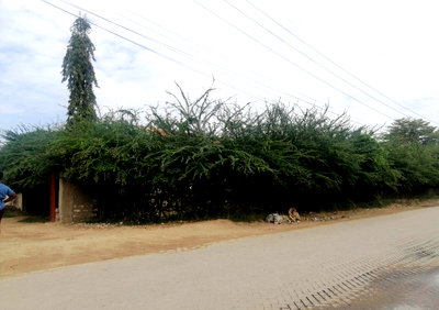 Garden Office Space for KSh 9,500