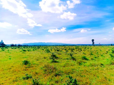 Affordable Plots for Sale in Ongata Rongai - Image 2
