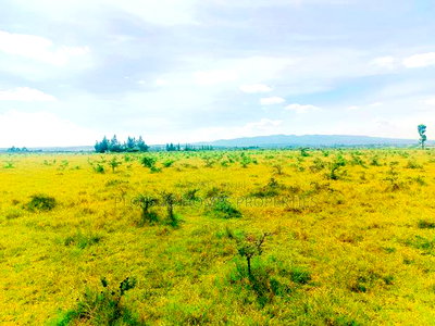 Affordable Plots for Sale in Ongata Rongai - Image 6