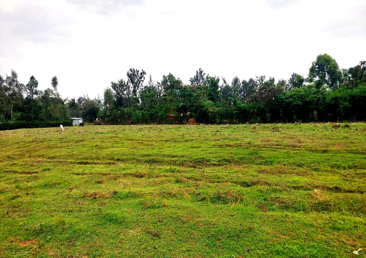 KSh 750K Plot in Mamboleo