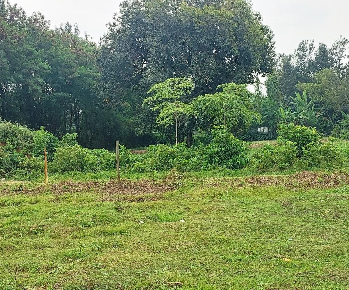 KSh 750K Plot in Mamboleo