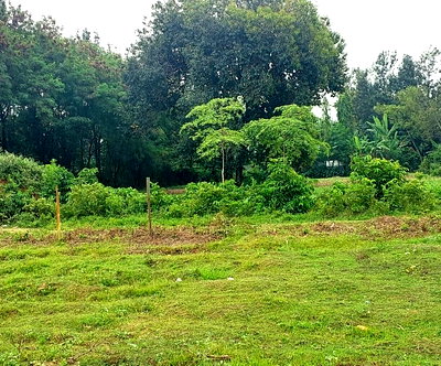 KSh 750K Plot in Mamboleo