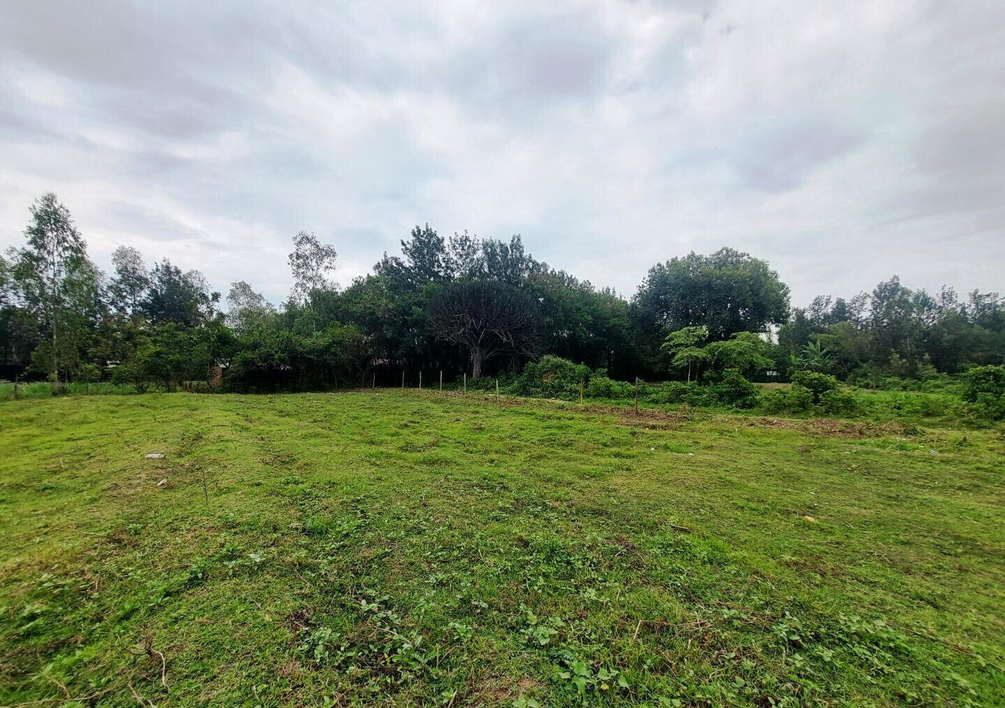 KSh 750K Plot in Mamboleo