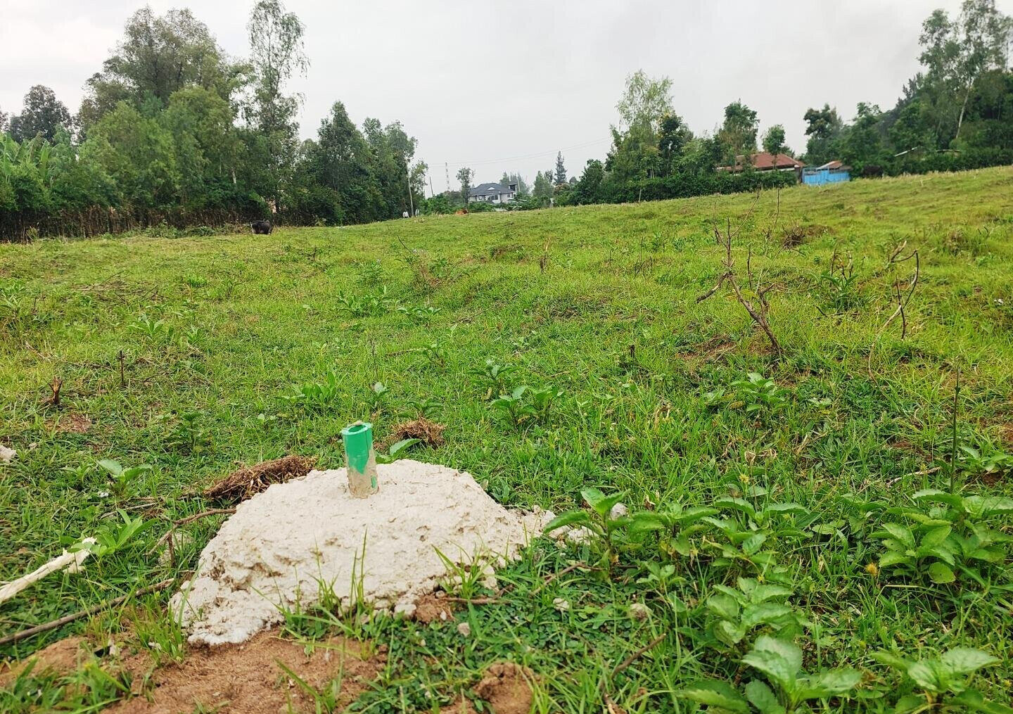 KSh 750K Plot in Mamboleo