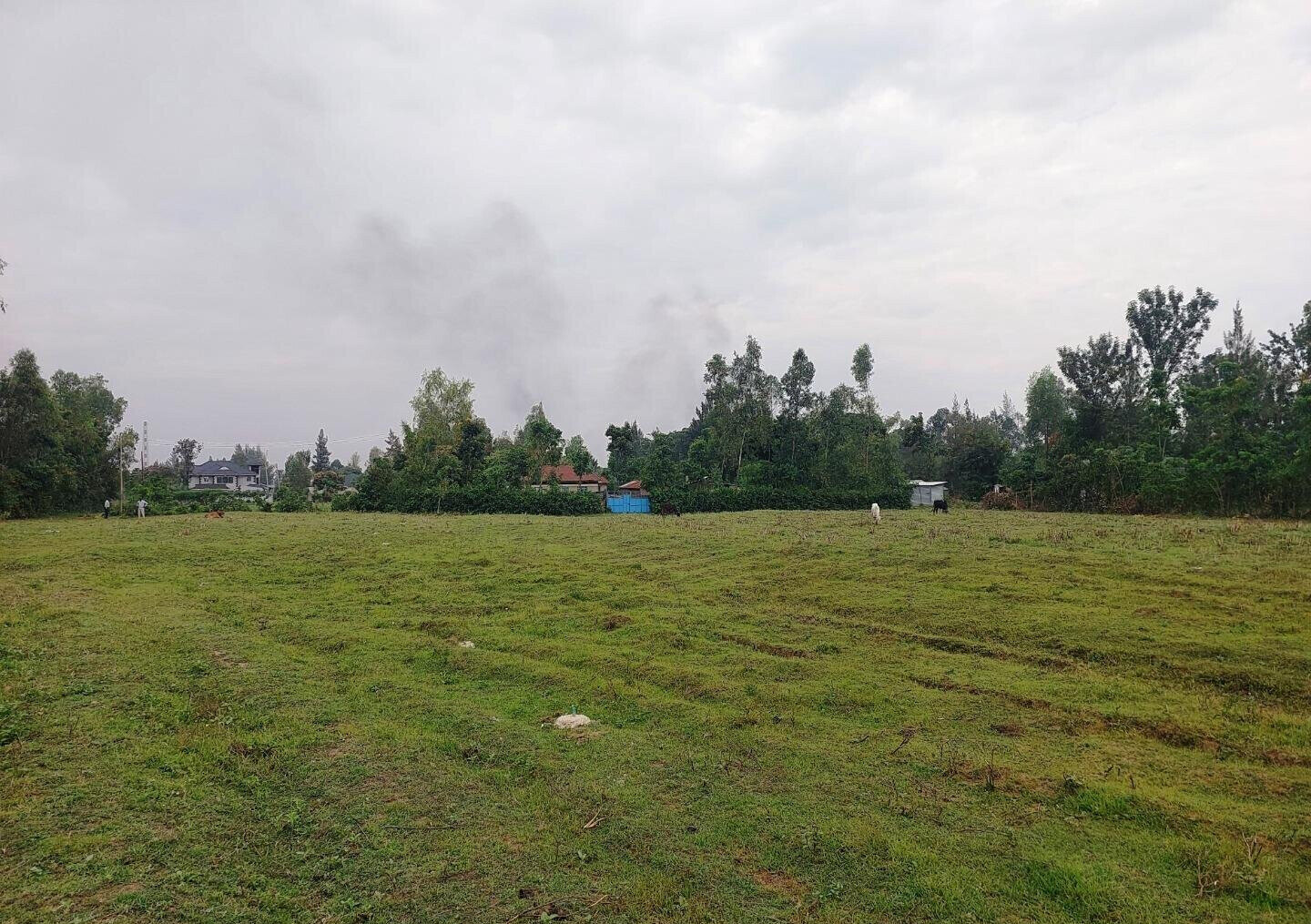 KSh 750K Plot in Mamboleo