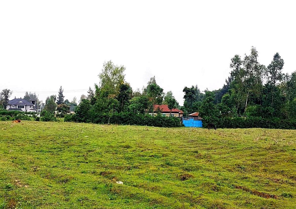 KSh 750K Plot in Mamboleo