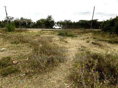 Commercial Quarter Acre Plot in Ongata Rongai Touching Gataka Road - Image 2