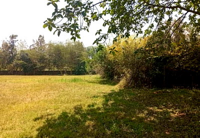 26-Acre Garden Property with Parking
