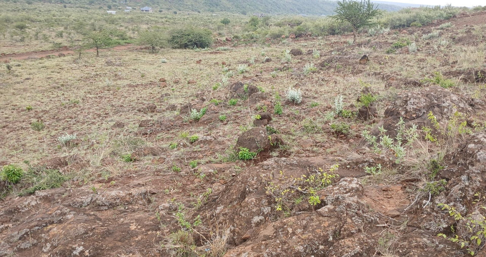 50x100 Plot in Ngong CBD