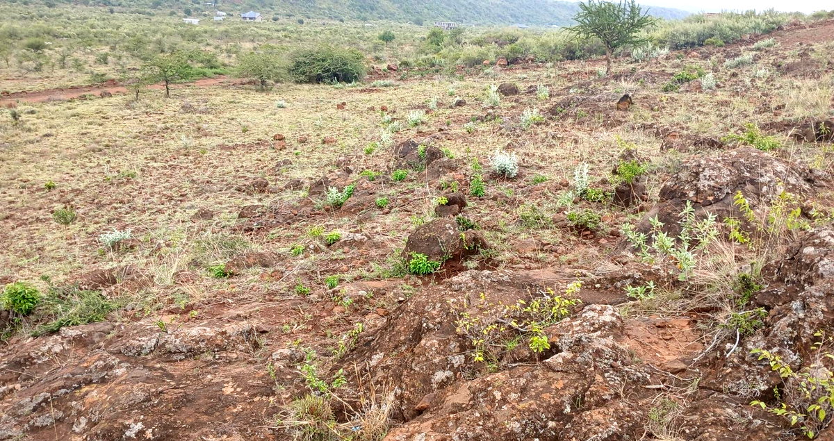 50x100 Plot in Ngong CBD