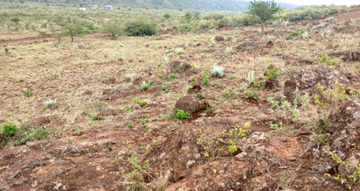 50x100 Plot in Ngong CBD