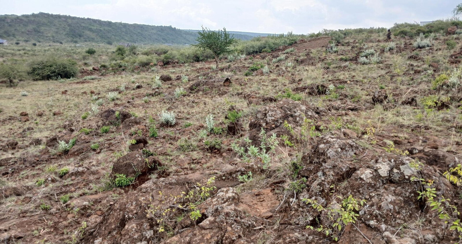 50x100 Plot in Ngong CBD