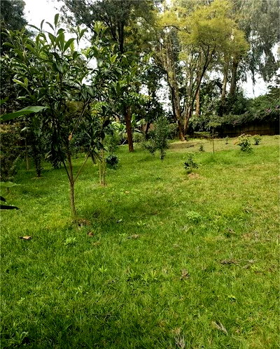 5-Acre Karen Plot with Garden