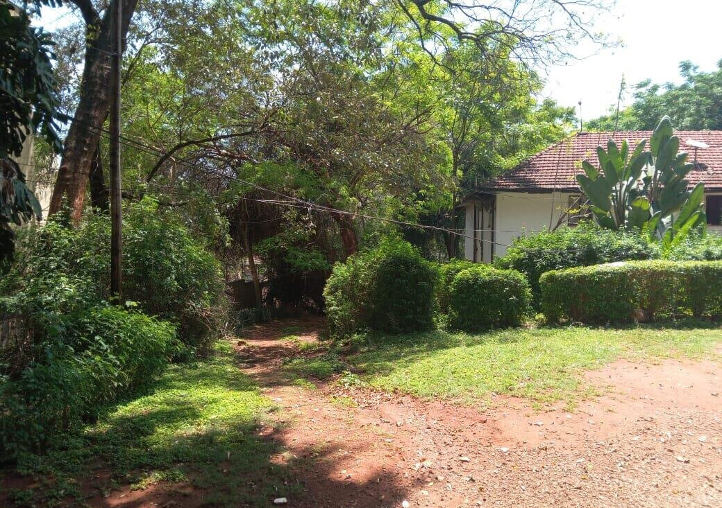 2-Acre Westlands Gem with Garden