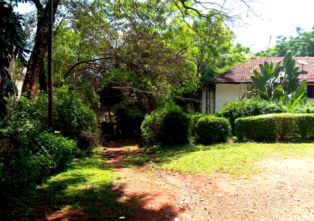 2-Acre Westlands Gem with Garden