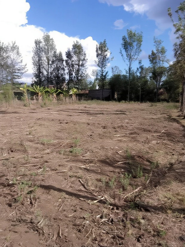 75x150ft Plot for Sale at Kenol at Kagaa